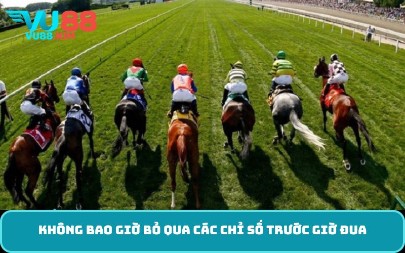 Không bao giờ bỏ qua các chỉ số trước giờ đua