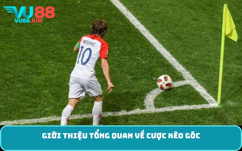 Giới thiệu tổng quan về cược kèo góc