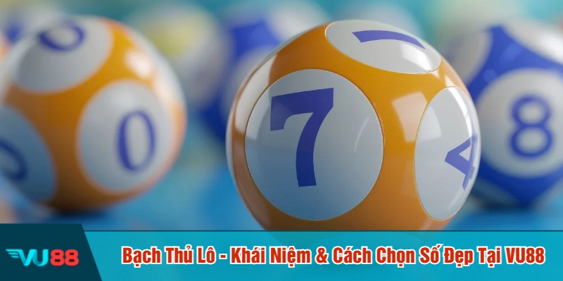 Bạch thủ lô