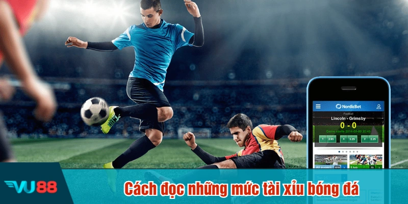 Cách đọc những mức tài xỉu bóng đá