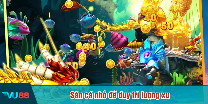 Săn cá nhỏ để duy trì lượng xu