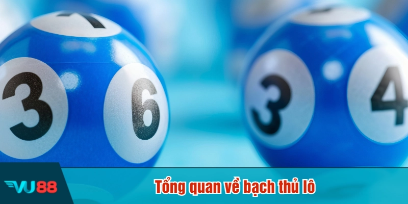 Tổng quan về bạch thủ lô