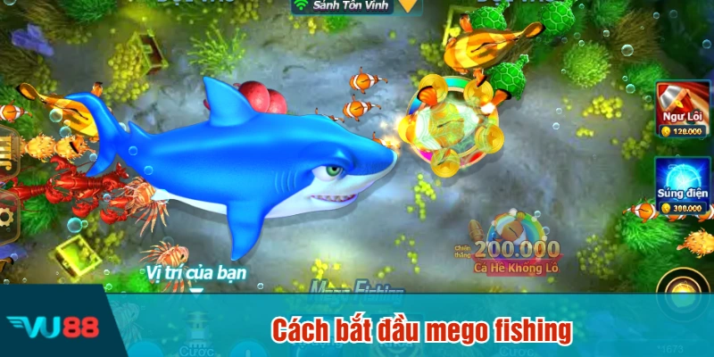 Cách bắt đầu mego fishing