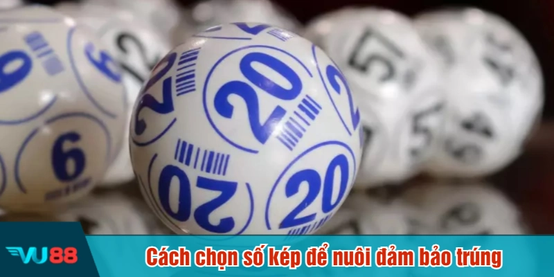 Cách chọn số kép để nuôi đảm bảo trúng