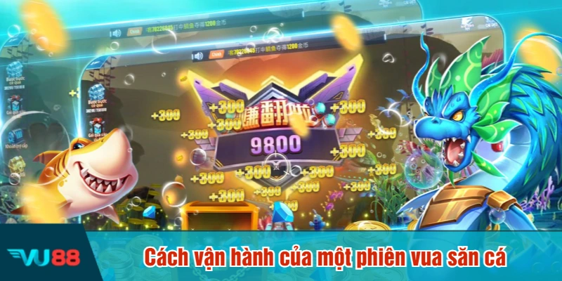 Cách vận hành của một phiên vua săn cá