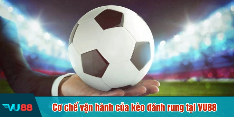 Cơ chế vận hành của kèo đánh rung tại VU88