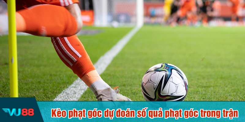 Kèo phạt góc dự đoán số quả phạt góc trong trận
