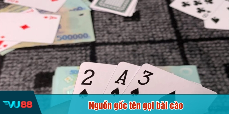 Nguồn gốc tên gọi bài cào