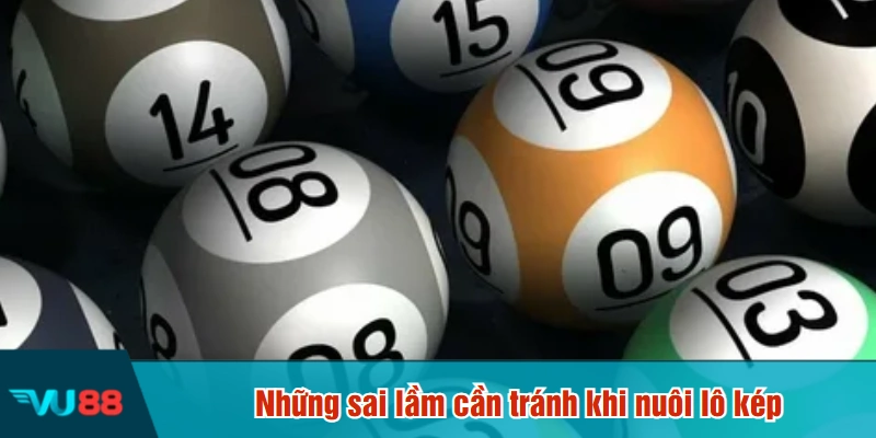 Những sai lầm cần tránh khi nuôi lô kép