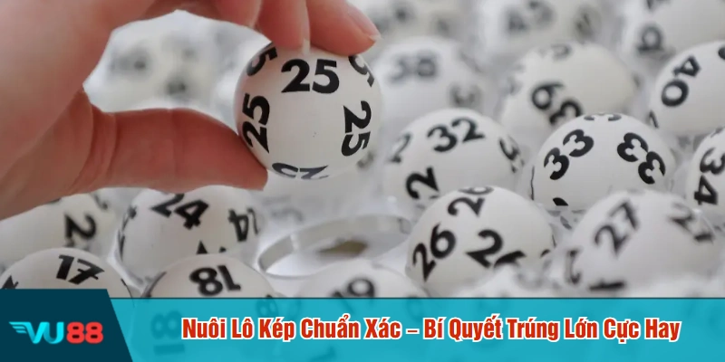 Nuôi lô kép