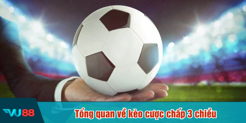 Tổng quan về kèo cược chấp 3 chiều