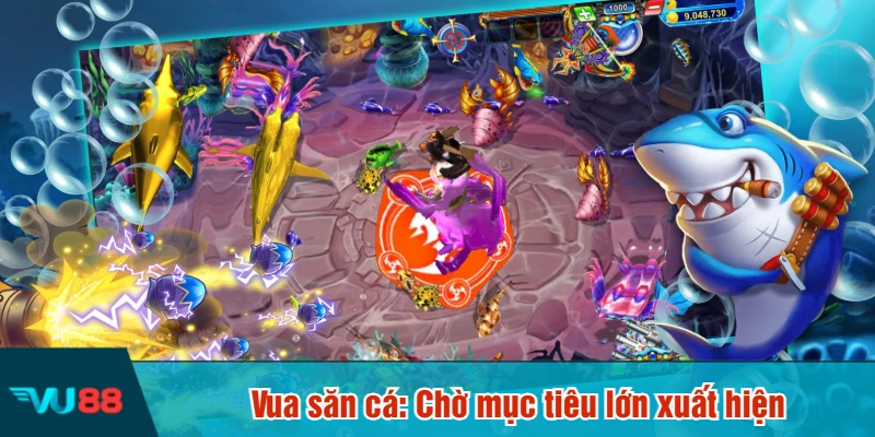 Vua săn cá: Chờ mục tiêu lớn xuất hiện